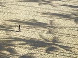 Untitled August 4 2021 1035AM by Richard Misrach contemporary artwork photography