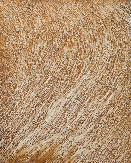 Dream of Soil 230512 by Sung-Pil Chae contemporary artwork Painting