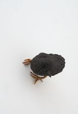 Bird by Elizabeth Jaeger contemporary artwork sculpture