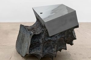 Giuseppe Penone