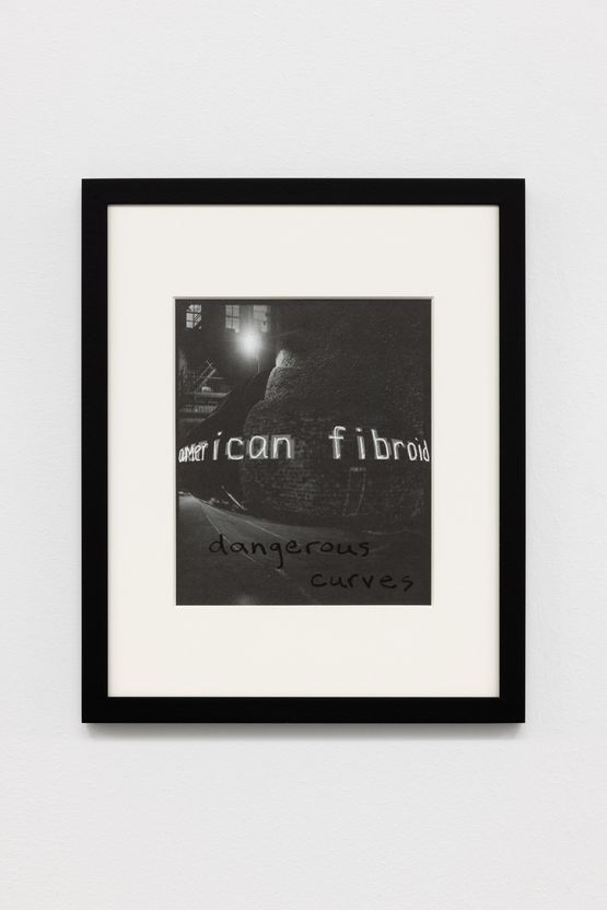 American Fibroids 13 by Julia Scher contemporary artwork Painting