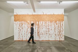 Richard Long Not Vital