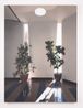 Lobby by Paul Winstanley contemporary artwork Painting