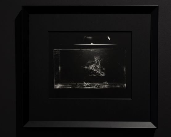 Colloid Study 2 Process Study by Joyce Campbell contemporary artwork Photography
