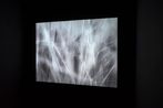 Search Party by Rai contemporary artwork Moving Image