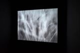 Search Party by Rai contemporary artwork moving image