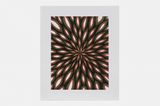 Scanners by Fred Tomaselli contemporary artwork print