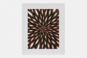 Fred Tomaselli