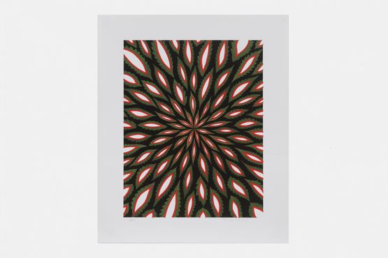 Scanners by Fred Tomaselli contemporary artwork Print