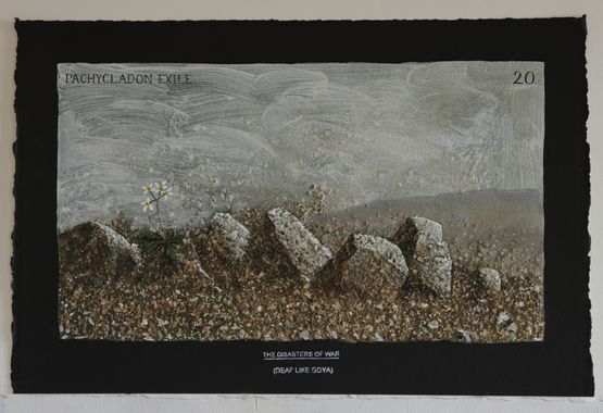 Paychycladon exile by Michael Shepherd contemporary artwork Works on Paper