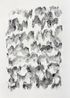 Lotus by Chiang Yomei contemporary artwork Works on Paper