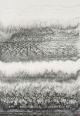 Wild Grass XVII by Hung Fai contemporary artwork works on paper drawing