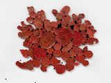 Liquen vermelho IV Red Lichen IV by Leo Battistelli contemporary artwork painting