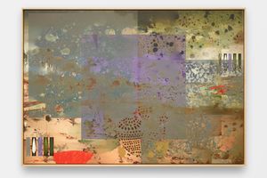 Petra Cortright