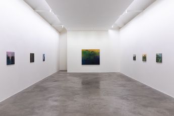 Contemporary art exhibition Elizabeth Magill Northern Sky at Kerlin Gallery Dublin Ireland
