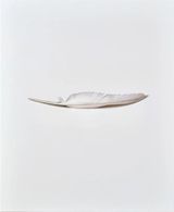 Swan by Alison Watt contemporary artwork painting works on paper