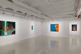 Contemporary art exhibition Haley Josephs Love of Waters at Almine Rech New York Tribeca United States