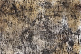 Stephan Baumkotter contemporary artist