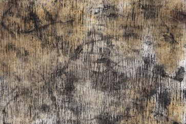 Stephan Baumkotter contemporary artist