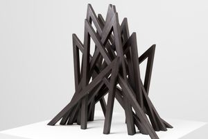Bernar Venet