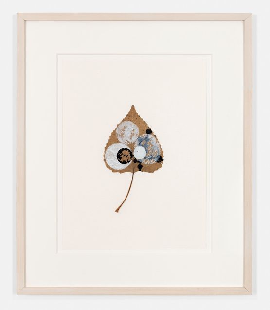 Crosseyed Leaf by Gabriel Orozco contemporary artwork Painting
