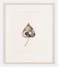 Crosseyed Leaf by Gabriel Orozco contemporary artwork Painting