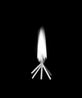 Small Fire by Marie Shannon contemporary artwork Photography