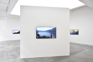 Dara Birnbaum