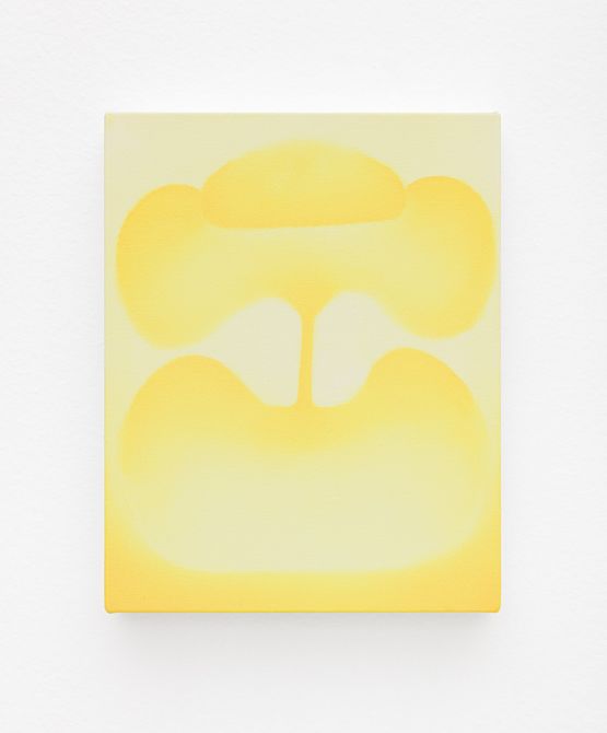 Sem titulo Untitled by Gabriel Branco contemporary artwork Painting