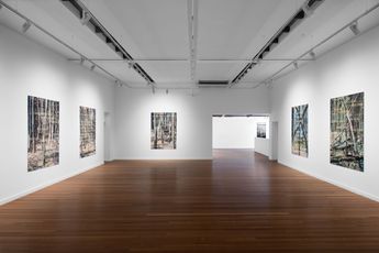 Contemporary art exhibition Imants Tillers Remembering the unknown at Roslyn Oxley9 Gallery Sydney Australia