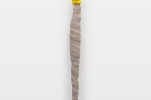 Liz Magor