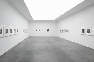 Robert Mapplethorpe