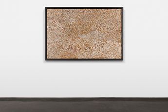 Mick Namarari Tjapaltjarri contemporary artist