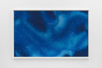 Allora  Calzadilla contemporary artist