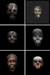 VOL 1 SKULLS by Magnus Gjoen contemporary artwork print