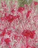 Mendrami by Jiwon Kim contemporary artwork painting