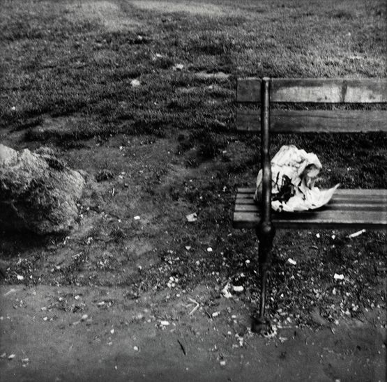 Central Park by Robert Rauschenberg contemporary artwork Photography