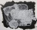 Ngangkari Ngura Healing Country by Betty Muffler contemporary artwork Painting