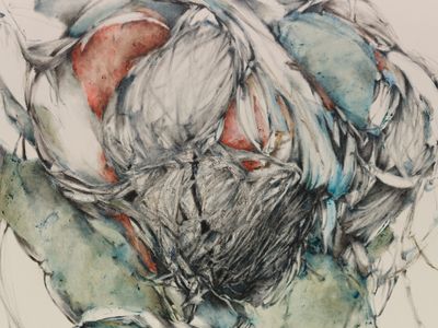 Christine Ay Tjoes Metamorphoses at White Cube