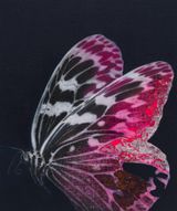 Cyborg Butterfly 8 by Yoshiaki Nakamura contemporary artwork painting