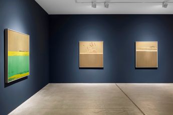Contemporary art exhibition Park Kwang-Jin Seeker of Nature at Hunter Dunbar Projects New York United States