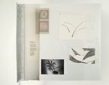 Catalogue comecojulgamento by Pedro Zylbersztajn contemporary artwork mixed media