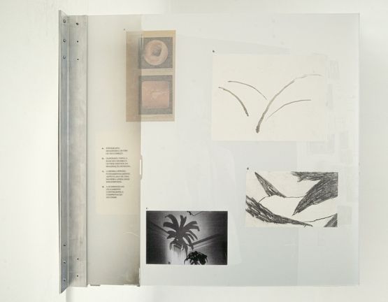 Catalogue comecojulgamento by Pedro Zylbersztajn contemporary artwork Mixed Media