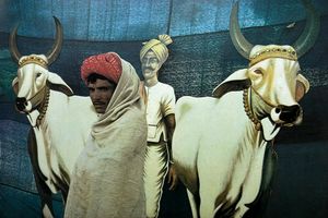 The Estate Of Raghubir Singh