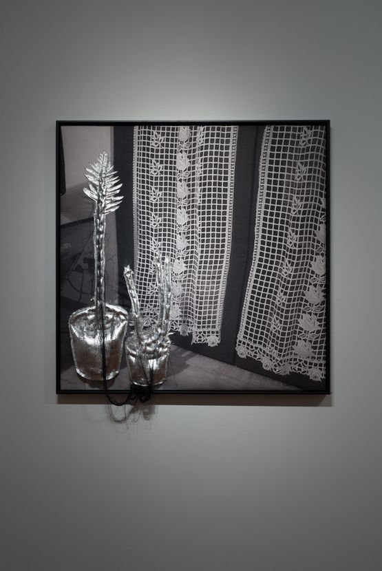 rothwellofficeplants miriam_kelly_ by Caroline Rothwell contemporary artwork Painting