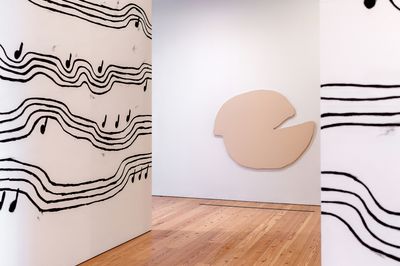 Christine Sun Kim Exposes Hierarchies of Hearing at the Whitney Museum