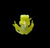 Glass frog by Fatos Irwen contemporary artwork Sculpture
