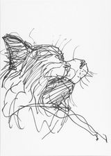 Work No. 1865 Jimmy by Martin Creed contemporary artwork drawing