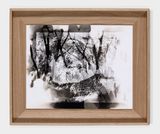 Overgrown by Matt Saunders contemporary artwork photography