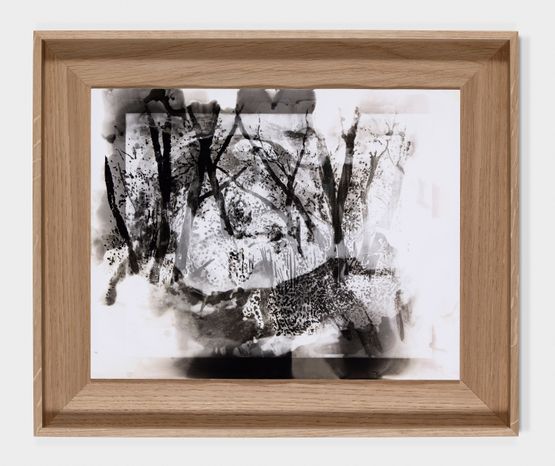 Overgrown by Matt Saunders contemporary artwork Photography